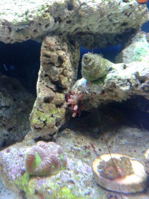 uploadfromtaptalk1412184137508.jpg uploadfromtaptalk1412184137508.jpg