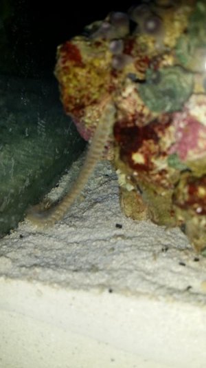 2014-10-01 21.59.33.jpg