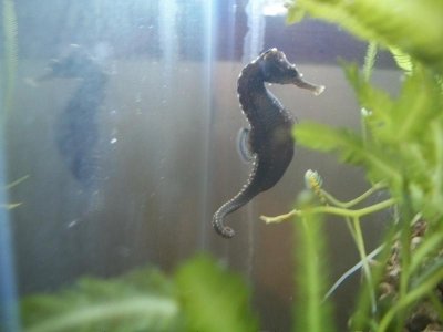 100_9606.jpg