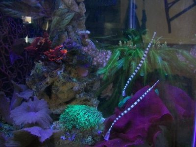 100_9609.jpg