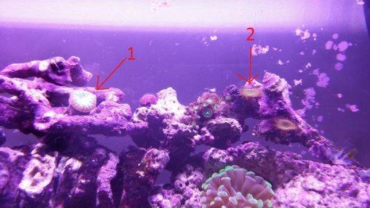 1 and 2.jpg 1 and 2.jpg