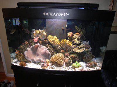 M0011692 (Medium).JPG