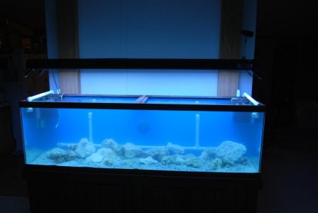 125 tank setup 001.jpg