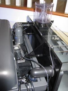 IMG_1258.jpg