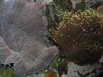 2-25-2010 002 (Small).jpg