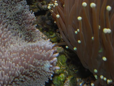 2-25-2010 003 (Small).jpg