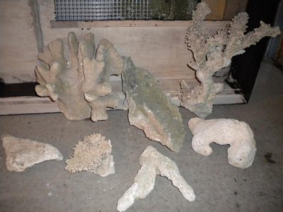 DSCN1062.jpg