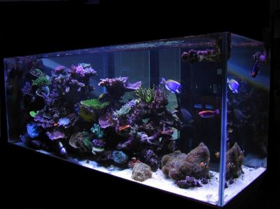 FTS_Feb_10_1024x768.jpg