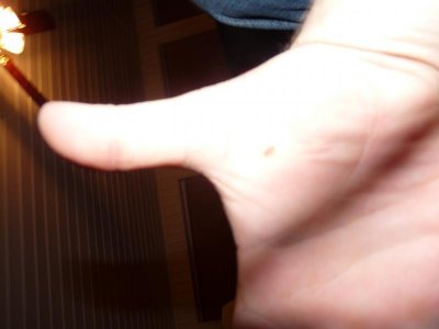 P1020229.jpg