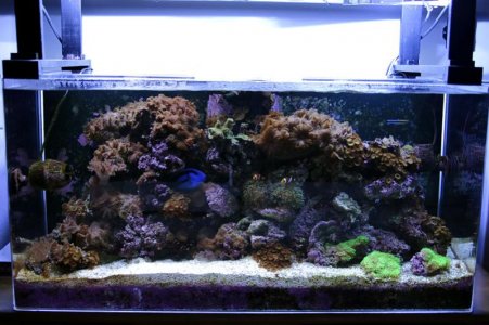FishTank 22.jpg