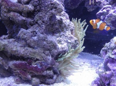 2010-02-17 003 (640x480).jpg