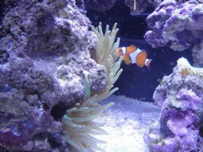 2010-02-17 006 (640x480).jpg