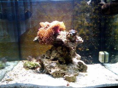 2010-02-16 13_21_54.jpg