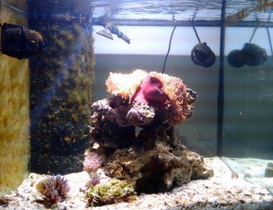 2010-02-16 13_22_06.jpg