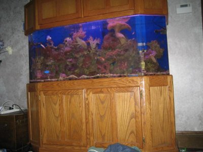 inco pics 113.jpg