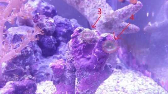 3 and 4.jpg 3 and 4.jpg