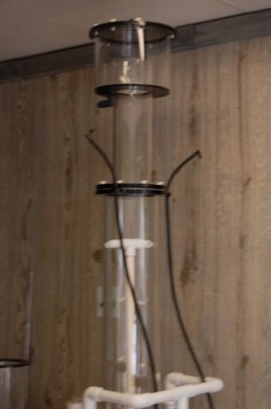 92814skimmer 010.jpg