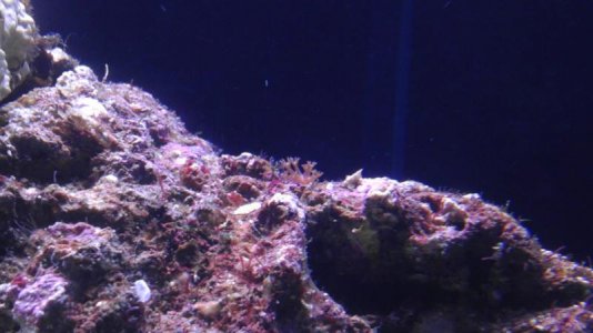 IMAG0329.jpg