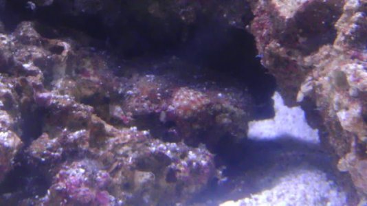 IMAG0338.jpg