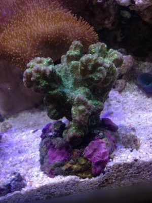 IMG_2972.jpg
