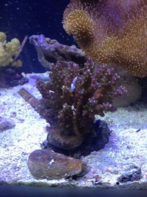 IMG_2973.jpg