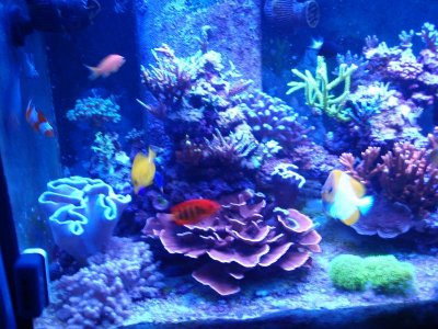 Left side Oct 2014.jpg