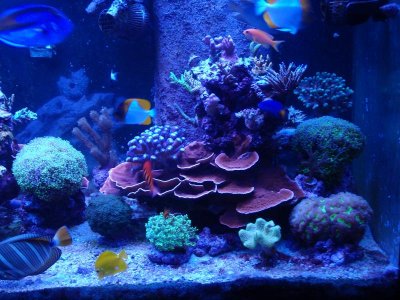 Right Side Oct 2014.jpg