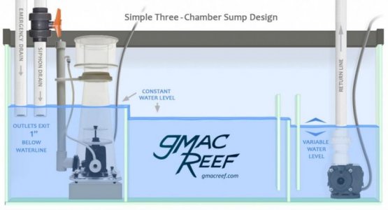 sump-design-diagram-gmacreef-1024x554.jpg