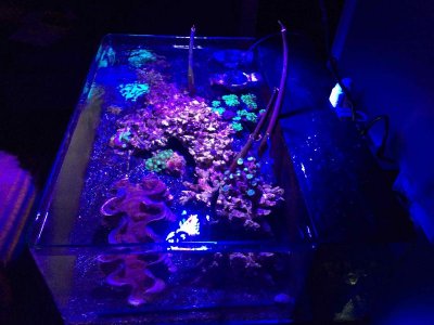 IMG_0489 copy.jpg IMG_0489 copy.jpg