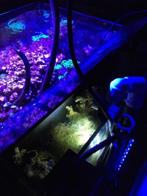 IMG_0492 copy.jpg IMG_0492 copy.jpg