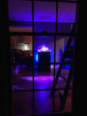 IMG_0498 copy.jpg IMG_0498 copy.jpg