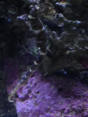 2014-10-08 00.27.12 HDR.jpg