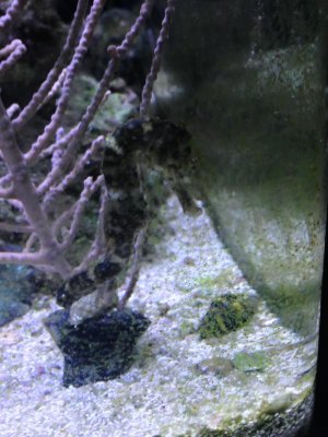2014-10-08 00.27.26 HDR.jpg