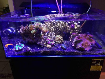 IMG_0545 copy.jpg IMG_0545 copy.jpg