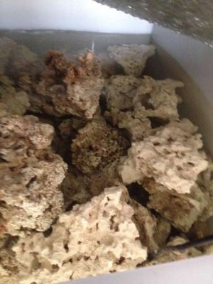 ImageUploadedByTapatalk1412817935.243051.jpg ImageUploadedByTapatalk1412817935.243051.jpg