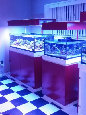 20140424_220330.jpg