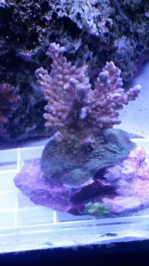 20141010_210424.jpg