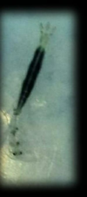 174569_IMG951427.jpg.jpg