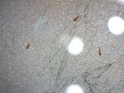 Photo on 2014-10-11 at 23.34.jpg