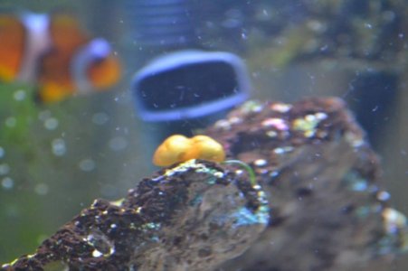 DSC_0548 (800x533).jpg