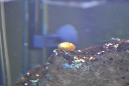 DSC_0549 (800x533).jpg