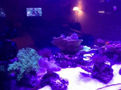 photo-1.jpg