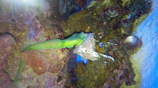 IMG_20141017_071758.jpg IMG_20141017_071758.jpg