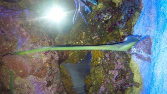 IMG_20141017_071407.jpg IMG_20141017_071407.jpg