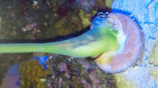 IMG_20141017_072148.jpg IMG_20141017_072148.jpg