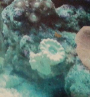 20140812_171642-1.jpg