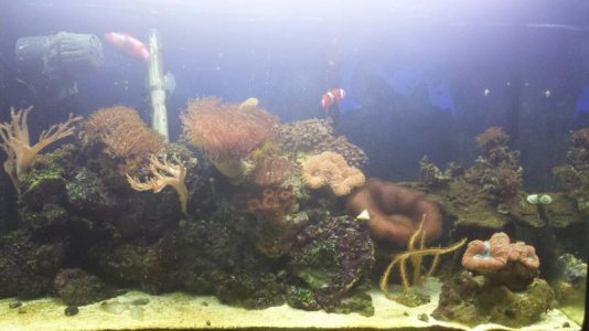 20141018_162527 (1).jpg