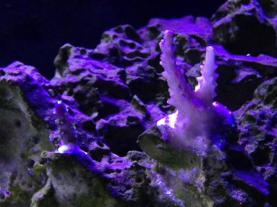 IMG_3073.jpg