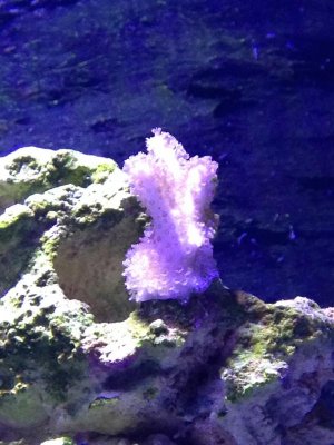 IMG_3075.jpg
