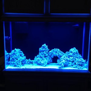 IMG_5434.jpg